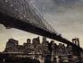 American Appeal (bridge), 2008 / Oil, fish-hooks and nails on panel of canvas and plywood / 200 x 300 x 10 cm