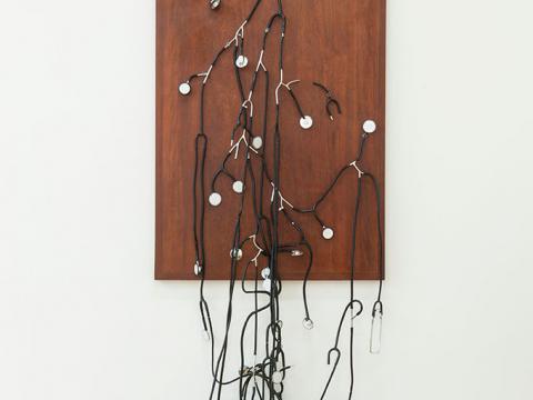 Consensus (collective feeling), 2012-2013 / Stethoscopes and nickel-plated copper devices on wooden base / 159 x 86 x 17 cm